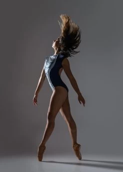 Conservatory Garden Cap Sleeve Leotard- New Arrival -Ballet Costumes Shop CTCConservatoryGarden3 8001120 1800x1800 df0e5018 afda 4839 8885 aaf617d3d205