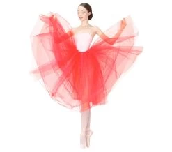 Repetto Rehearsal Tulle Skirt-fruit