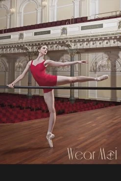 Wear Moi Faustine Leotad -Ballet Costumes Shop faustine 2