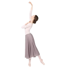 Repetto Rehearsal Skirt-Jupe En Mousseline-Taupe Rose